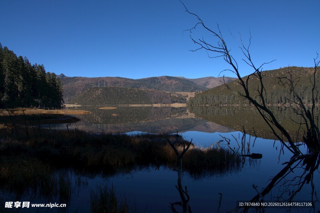 普达措森林公园