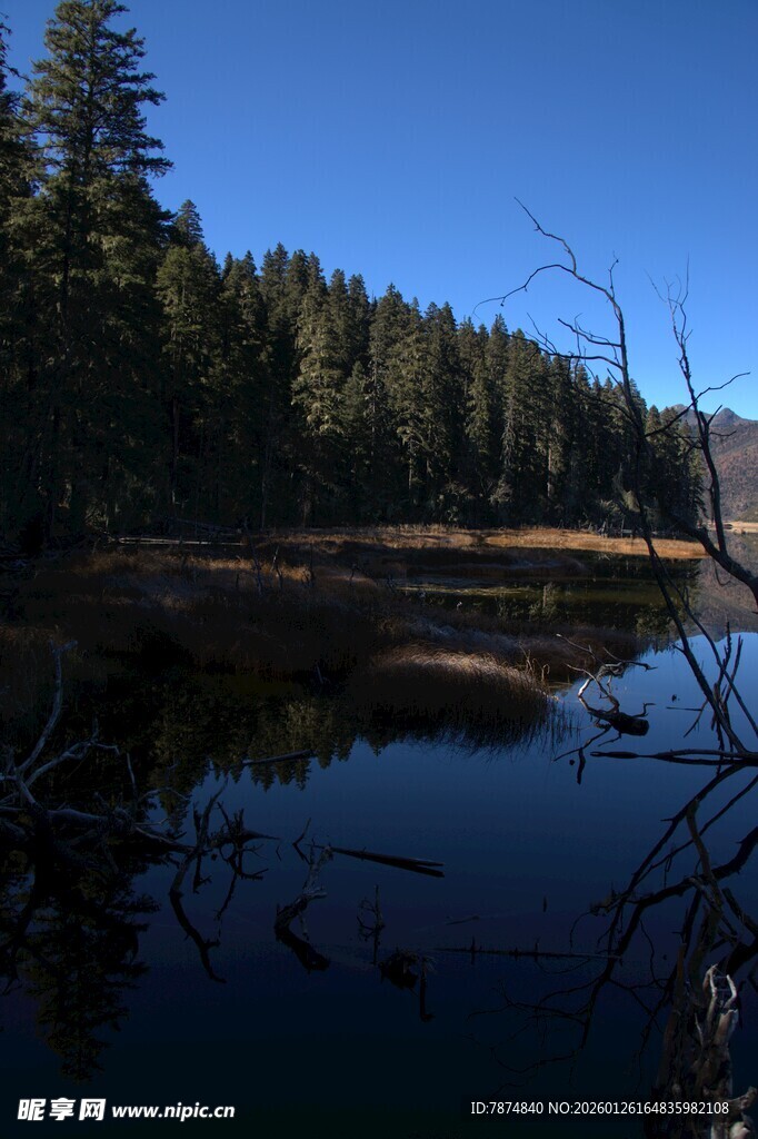 普达措森林公园