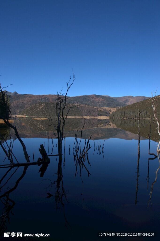 普达措森林公园
