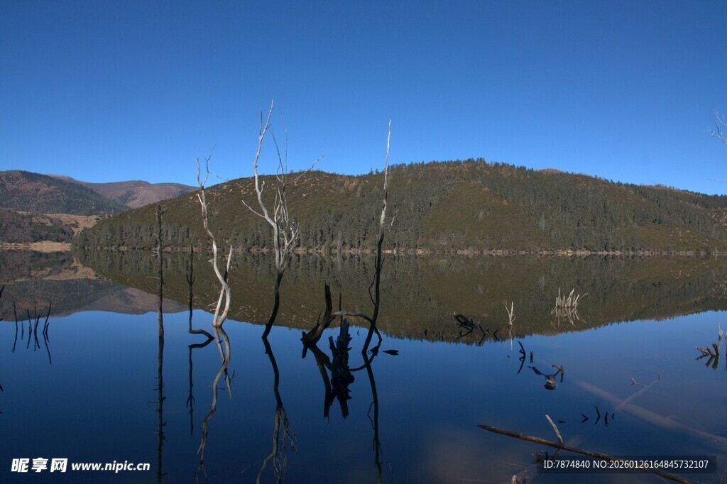 普达措森林公园