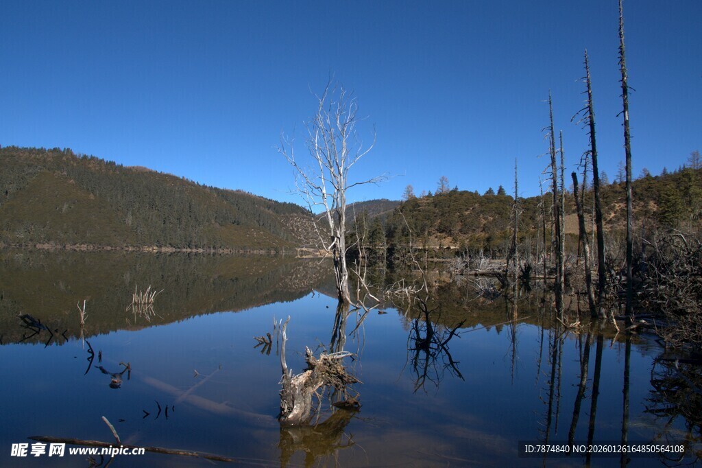 普达措森林公园