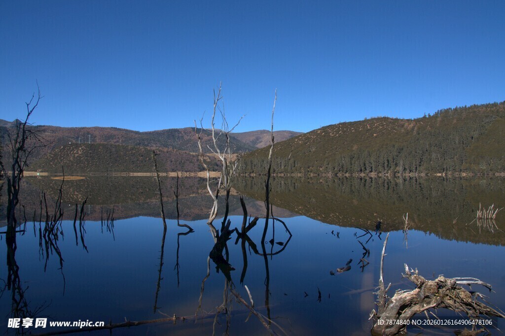 普达措森林公园