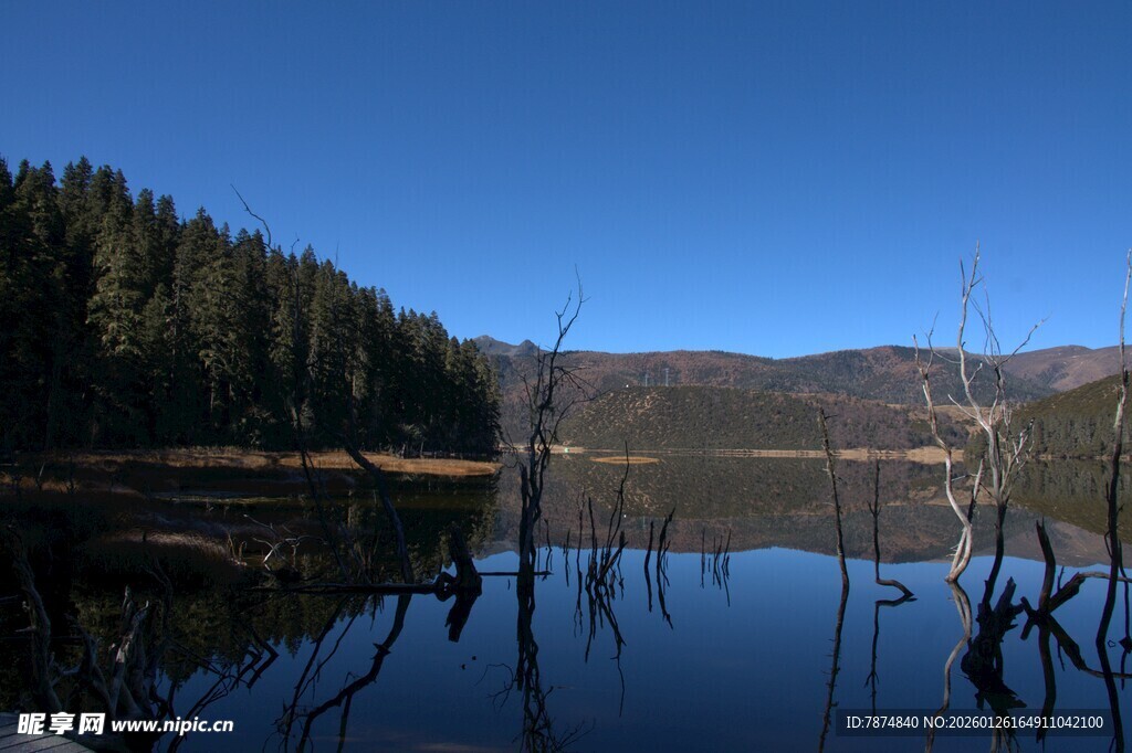 普达措森林公园