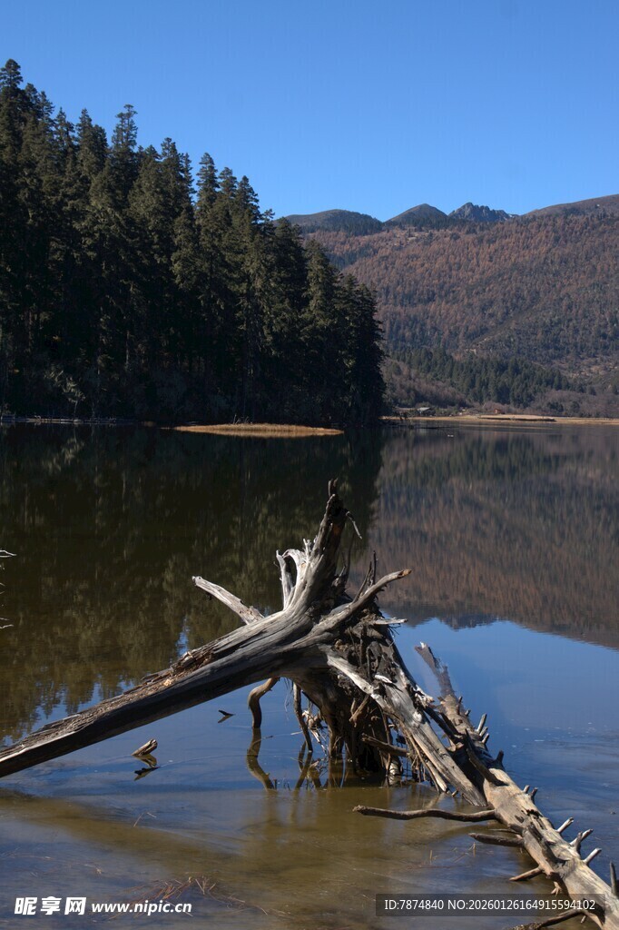普达措森林公园