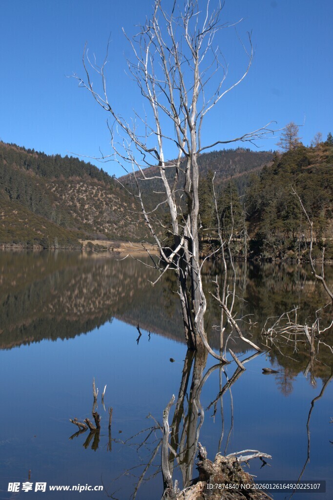 普达措森林公园