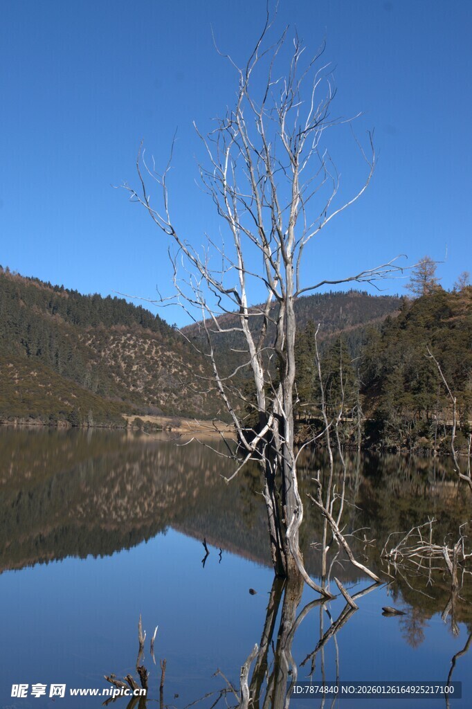 普达措森林公园
