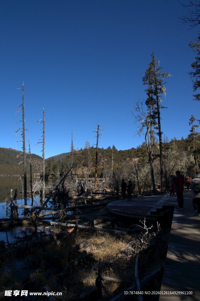 普达措森林公园