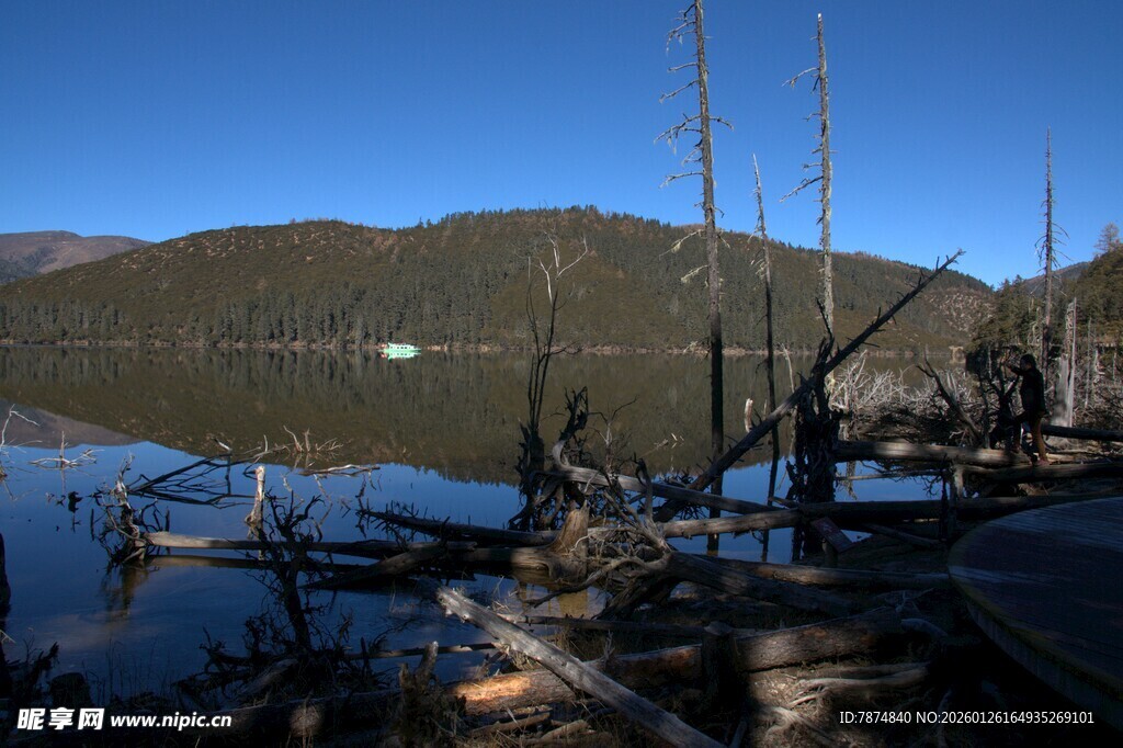 普达措森林公园
