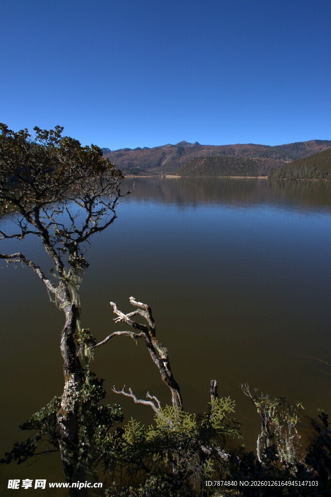 普达措森林公园