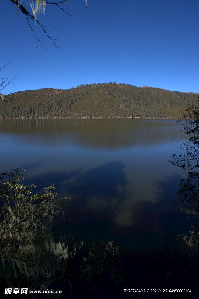 普达措森林公园