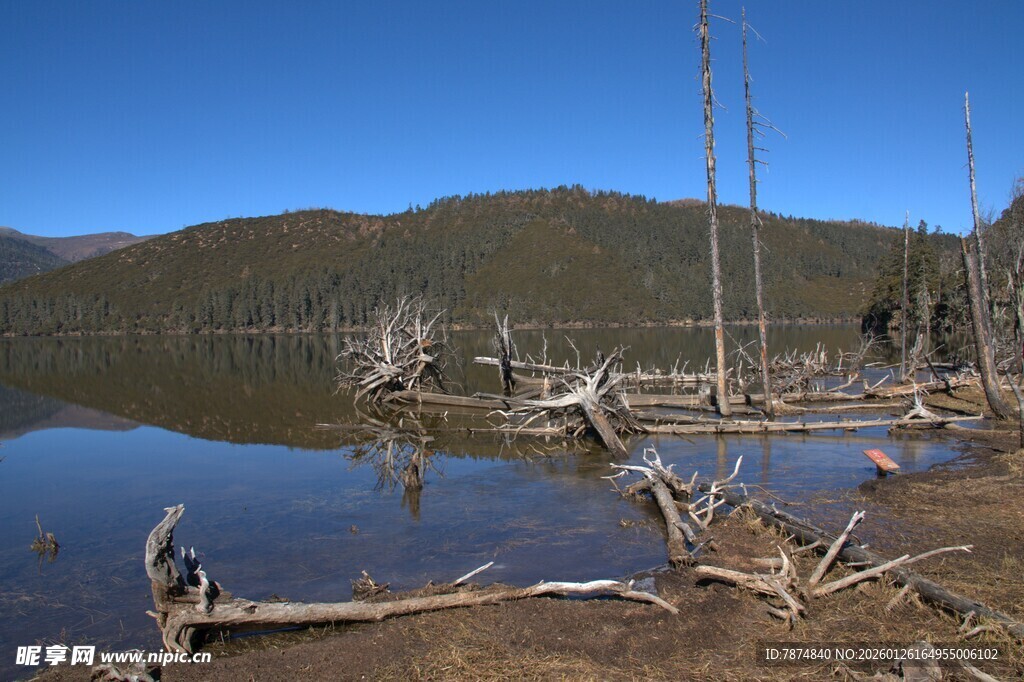 普达措森林公园