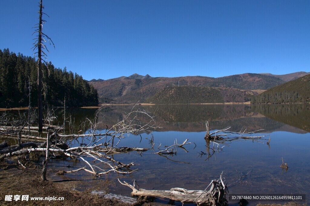 普达措森林公园
