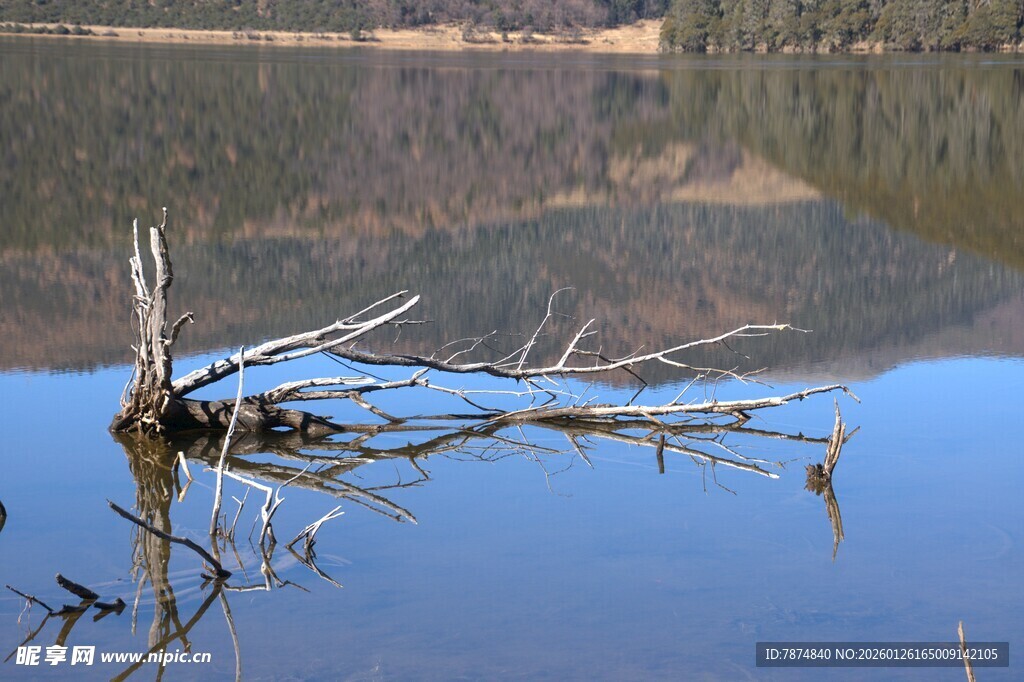 普达措森林公园
