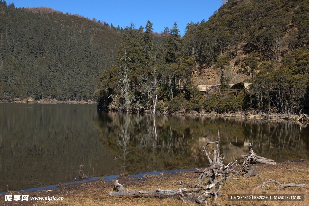 普达措森林公园