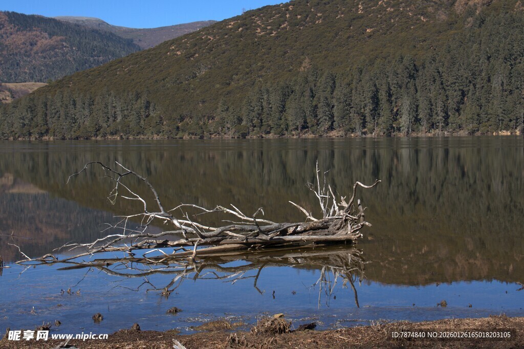 普达措森林公园