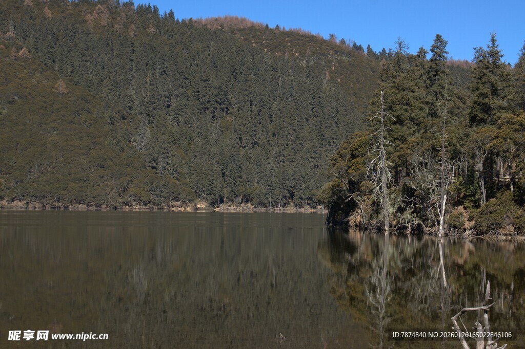 普达措森林公园