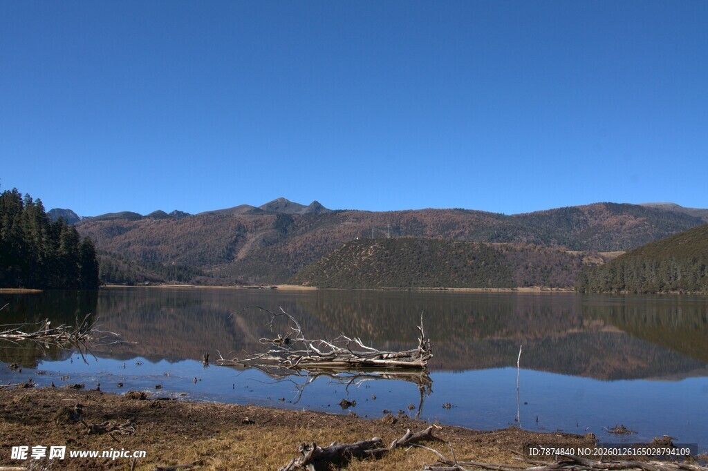普达措森林公园