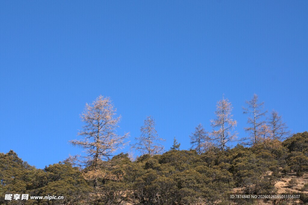 普达措森林公园
