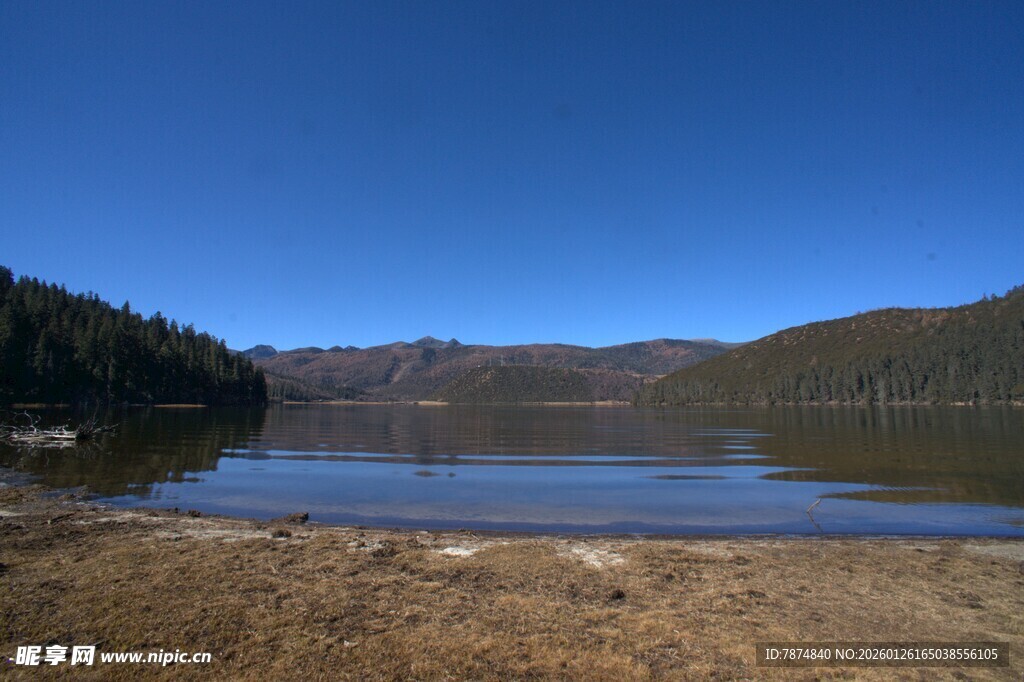 普达措森林公园