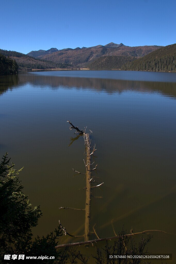 普达措森林公园