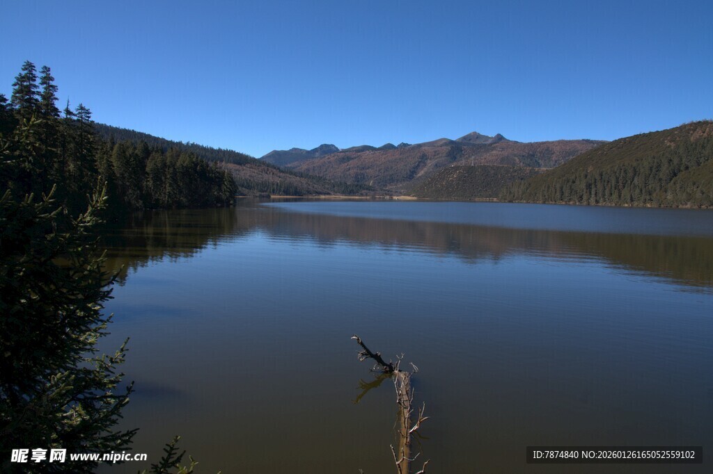 普达措森林公园