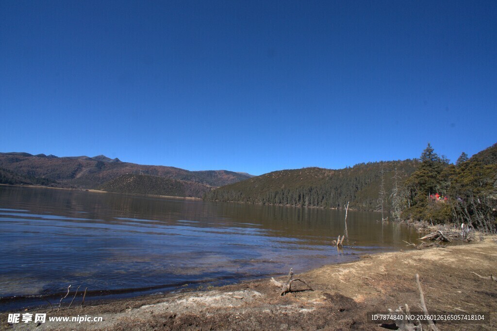 普达措森林公园