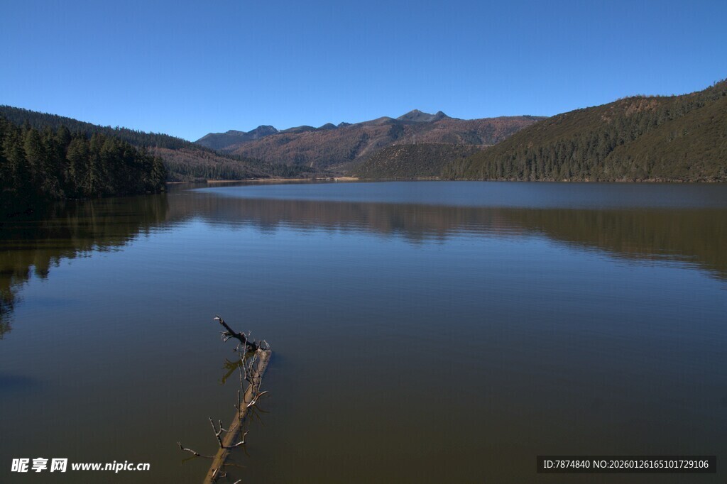 普达措森林公园