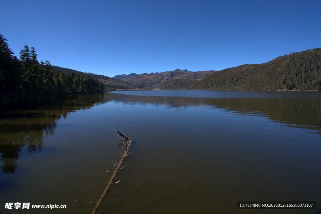 普达措森林公园