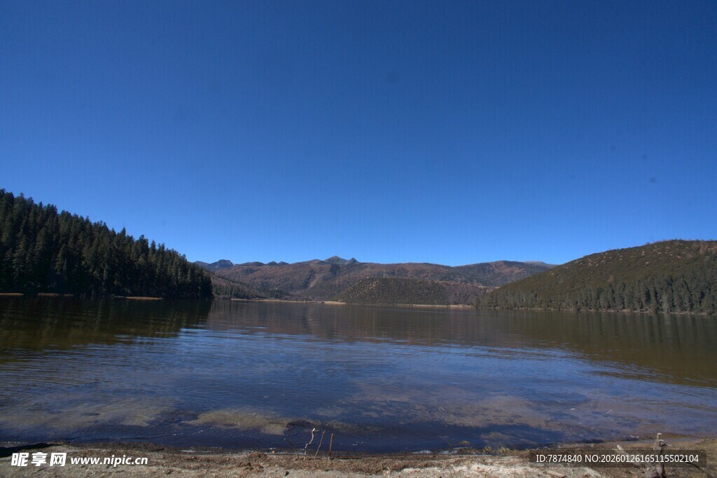 普达措森林公园