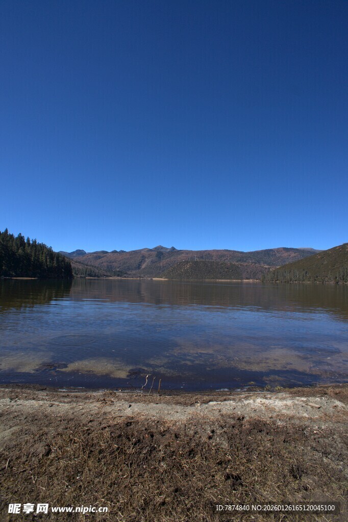 普达措森林公园