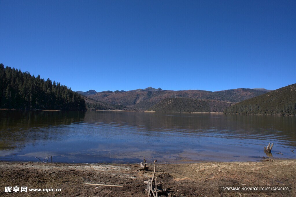 普达措森林公园