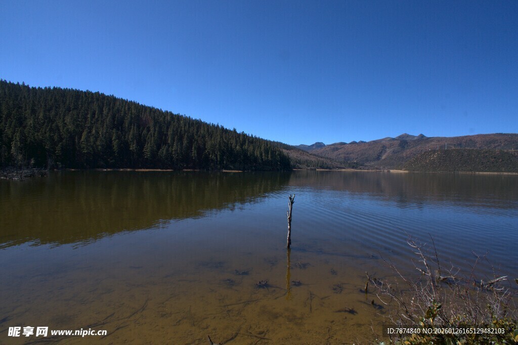 普达措森林公园