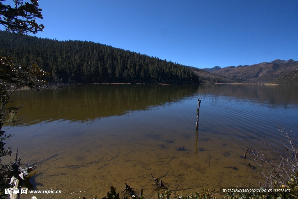 普达措森林公园