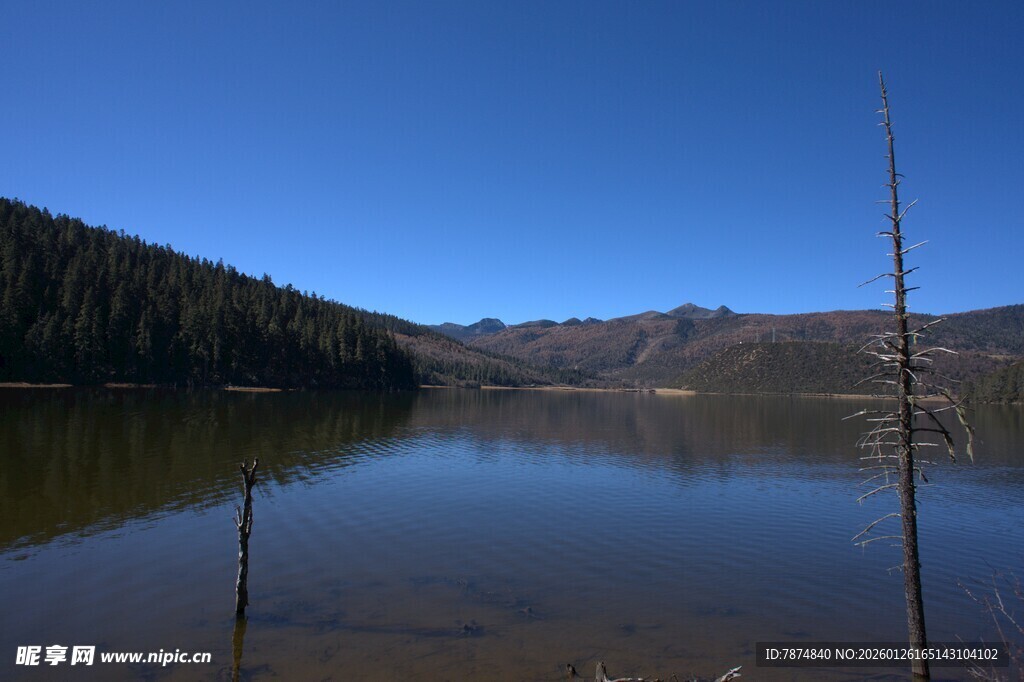 普达措森林公园