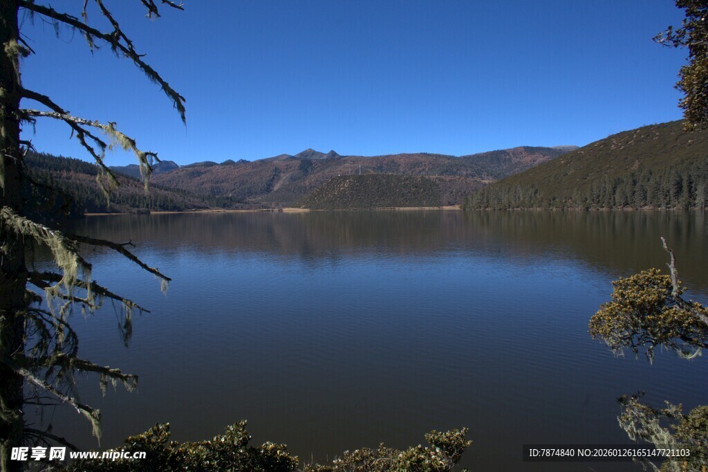 普达措森林公园