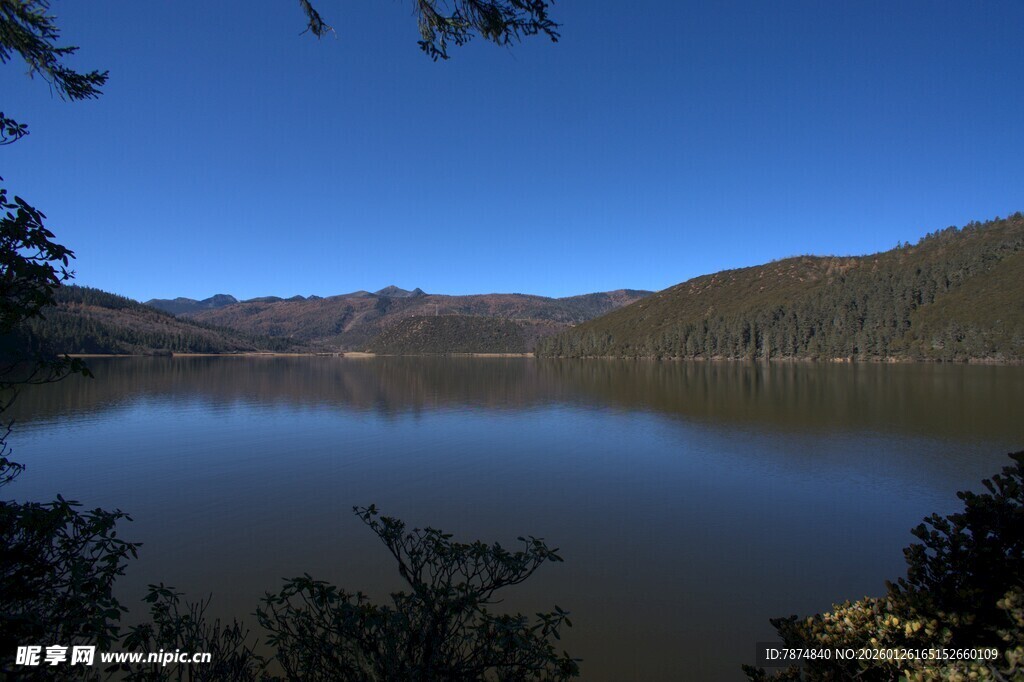 普达措森林公园