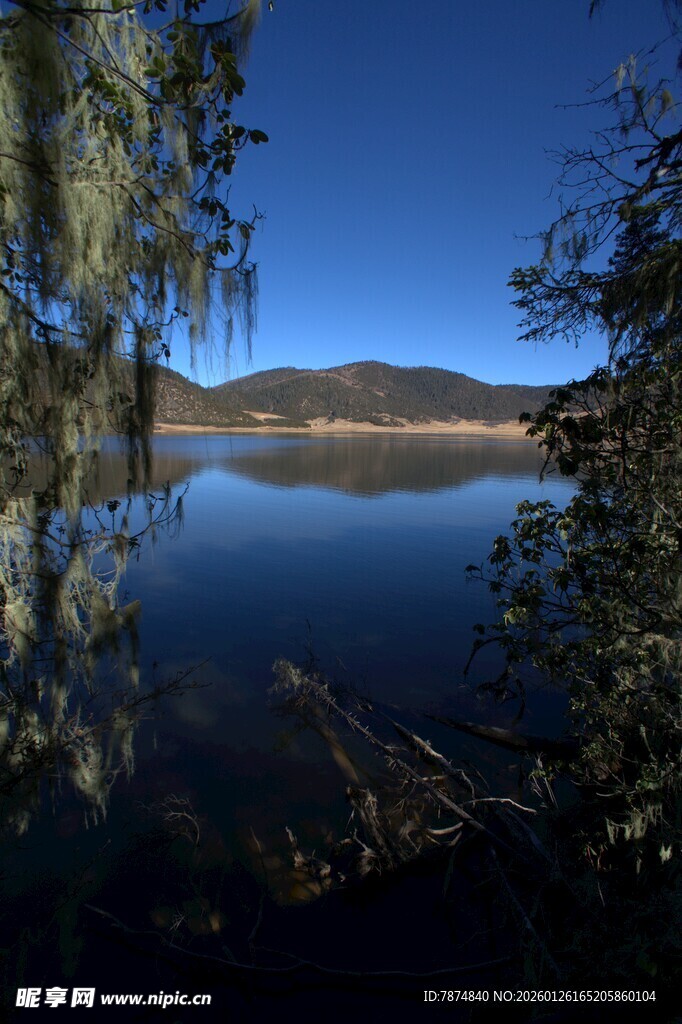 普达措森林公园