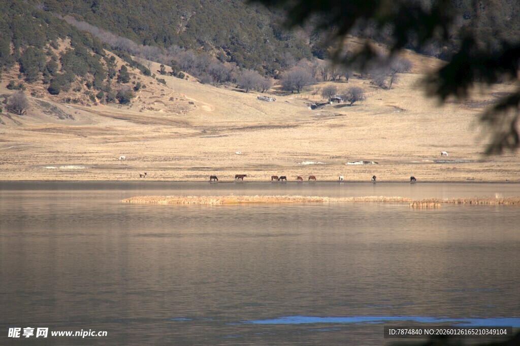 普达措森林公园