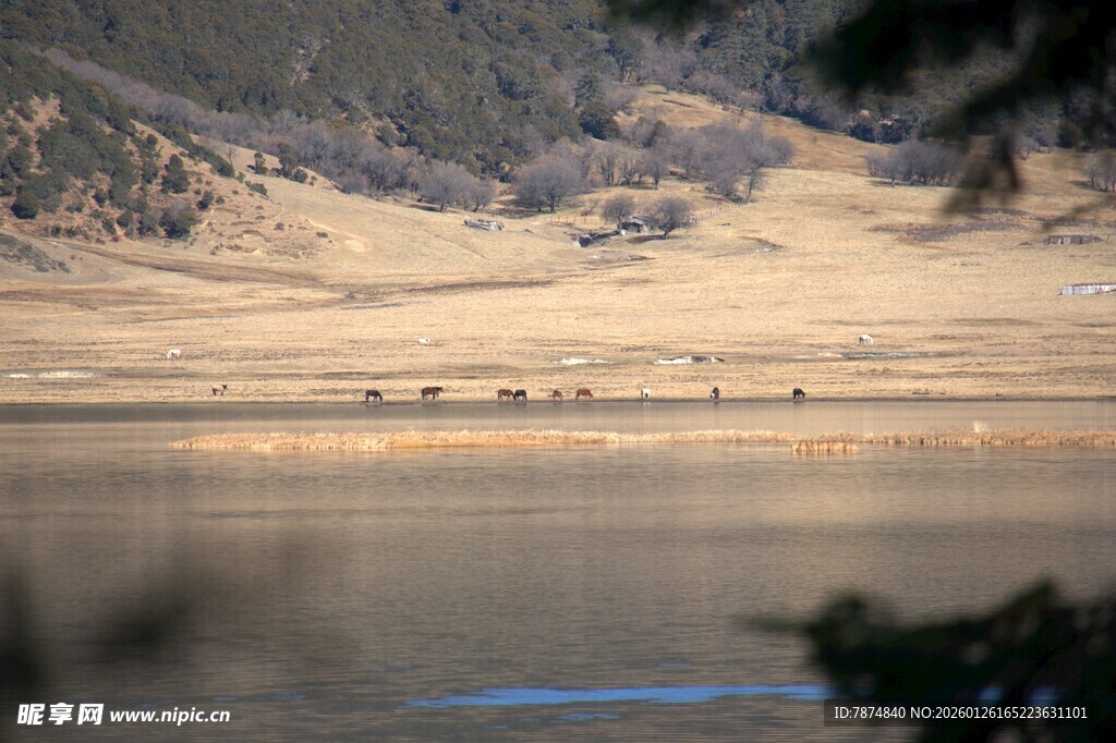 普达措森林公园