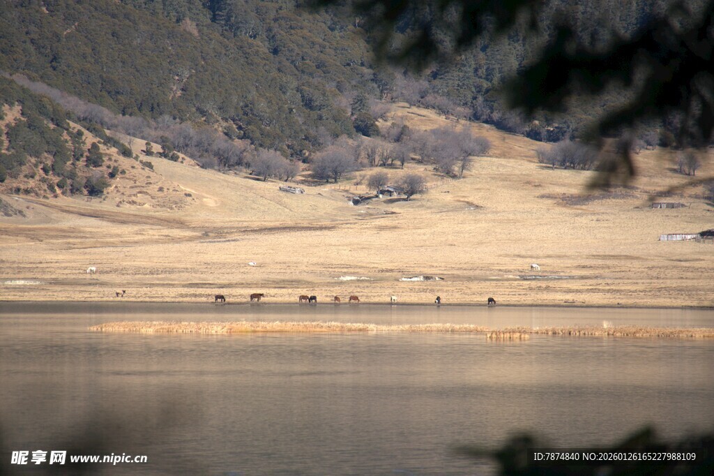 普达措森林公园