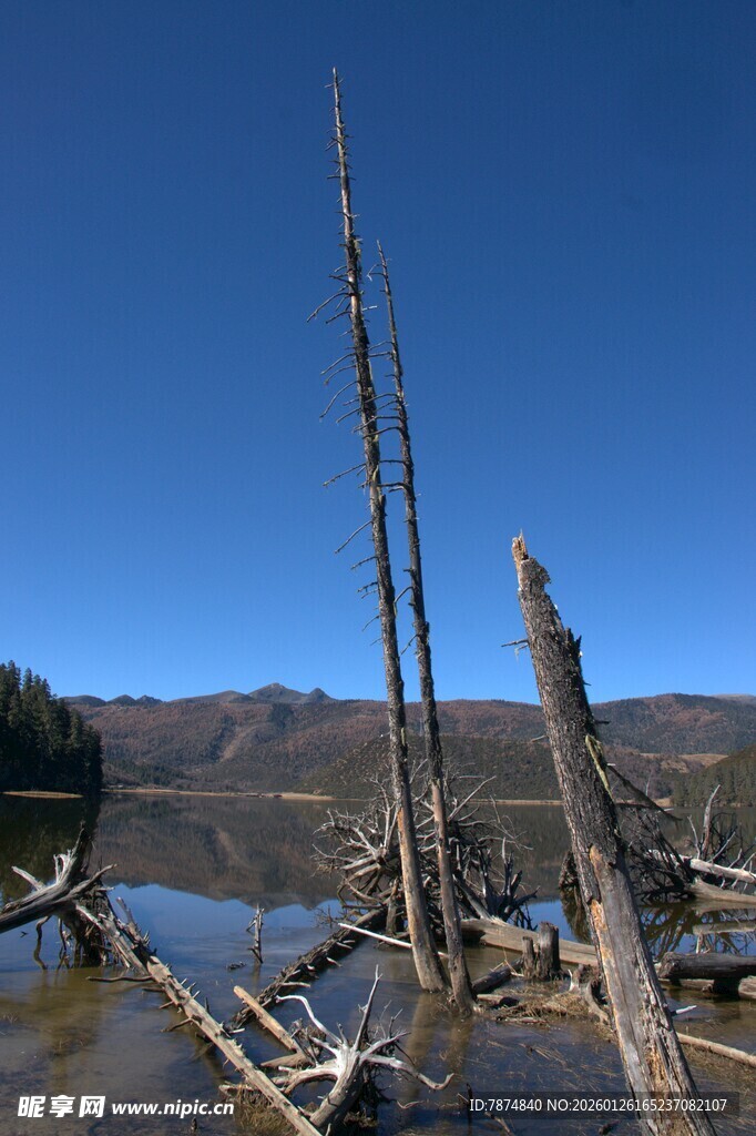普达措森林公园