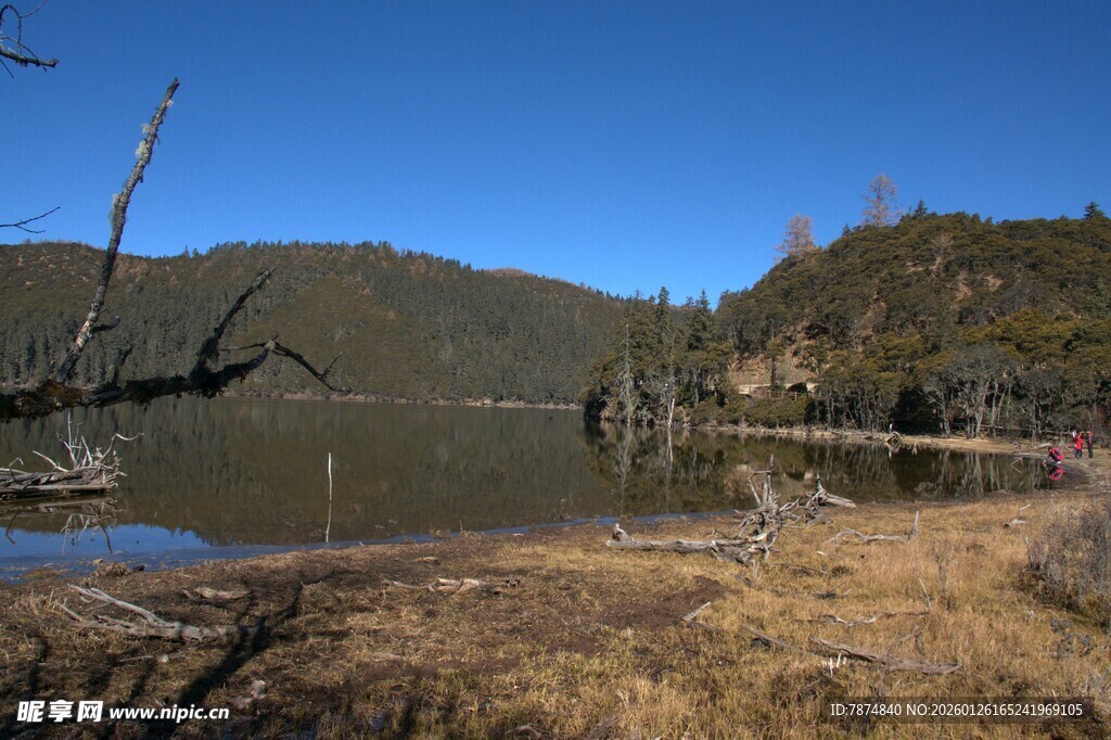 普达措森林公园