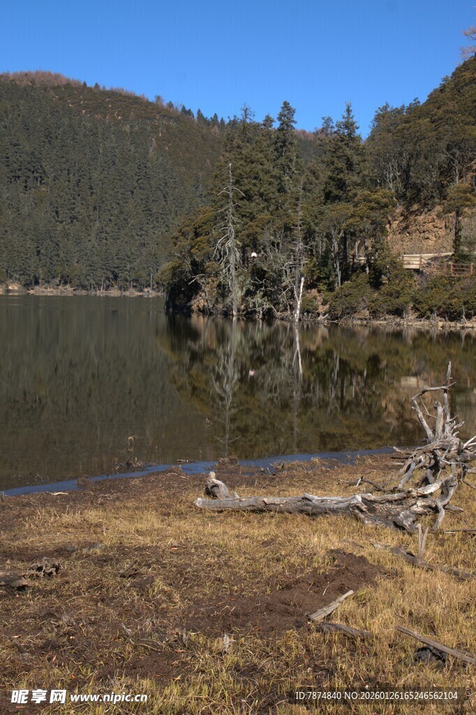 普达措森林公园