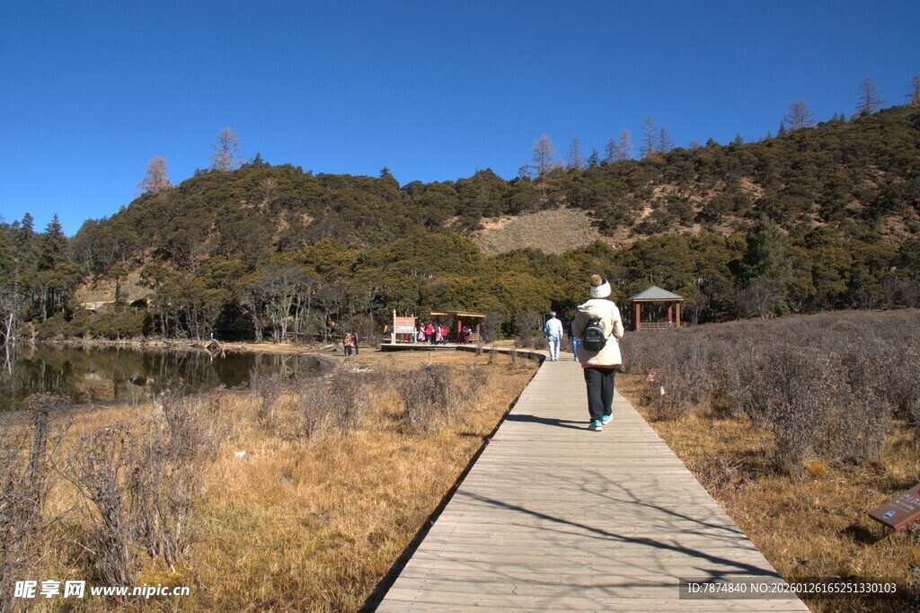 普达措森林公园