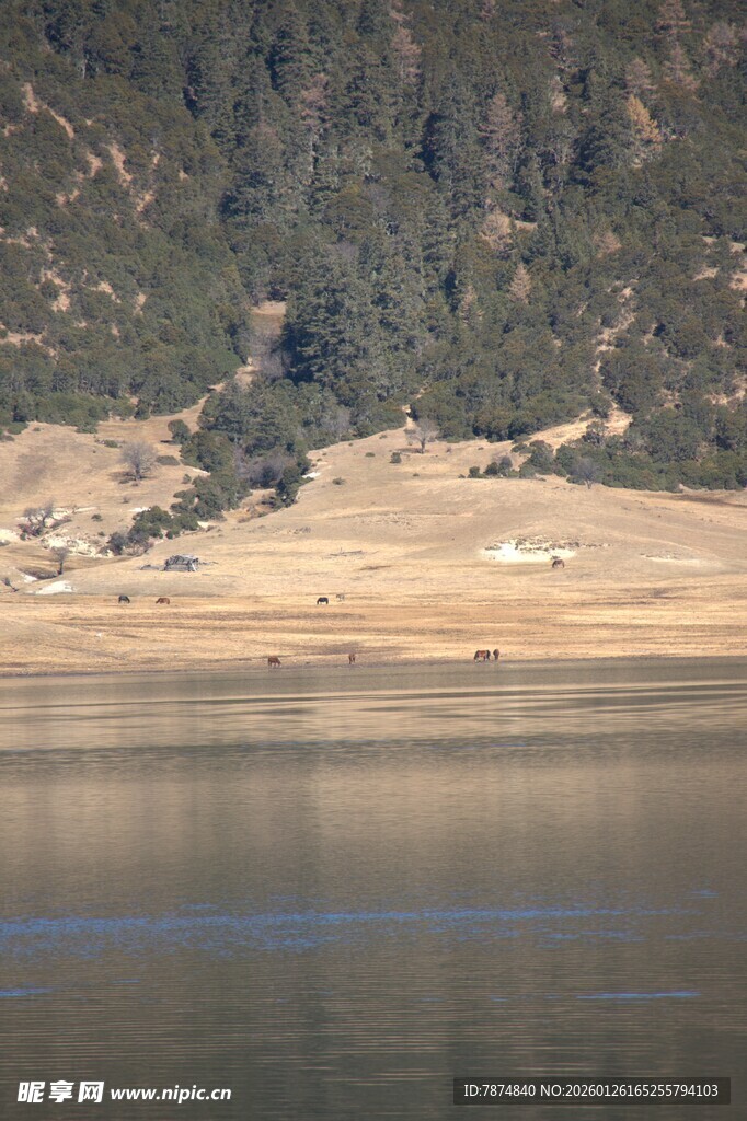 普达措森林公园