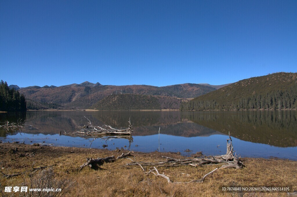 普达措森林公园