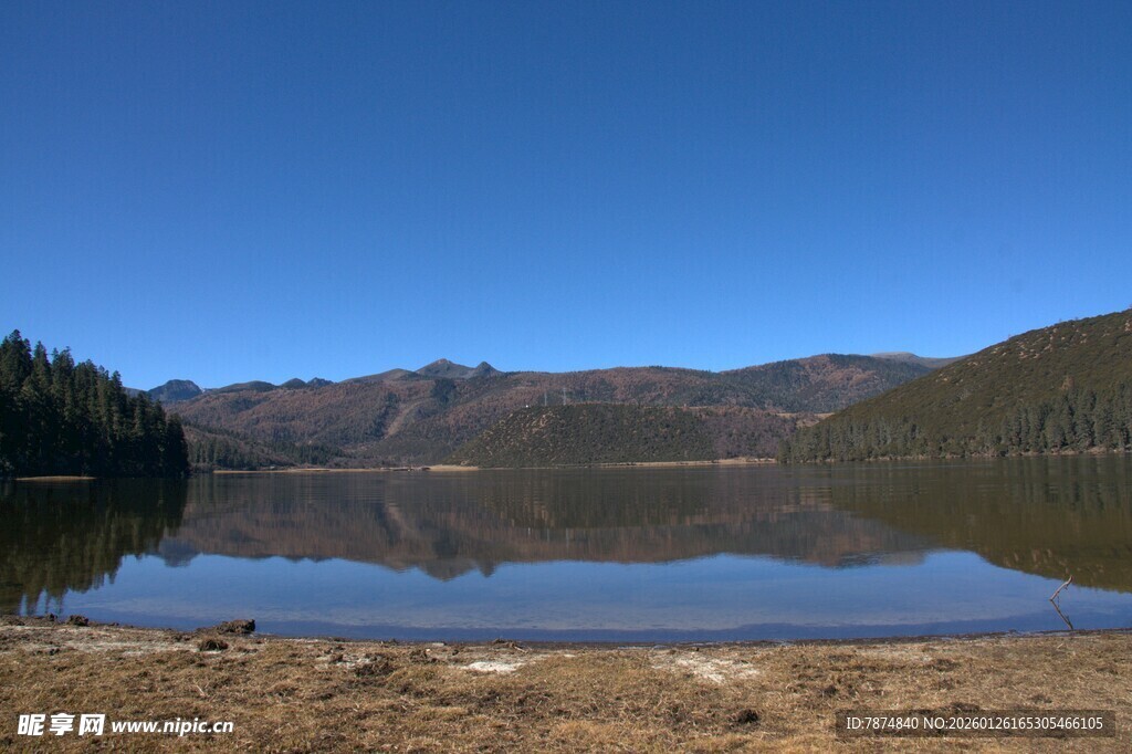 普达措森林公园