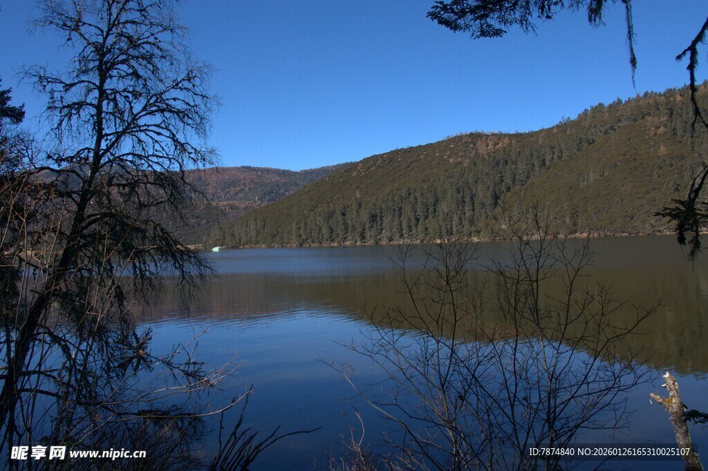 普达措森林公园
