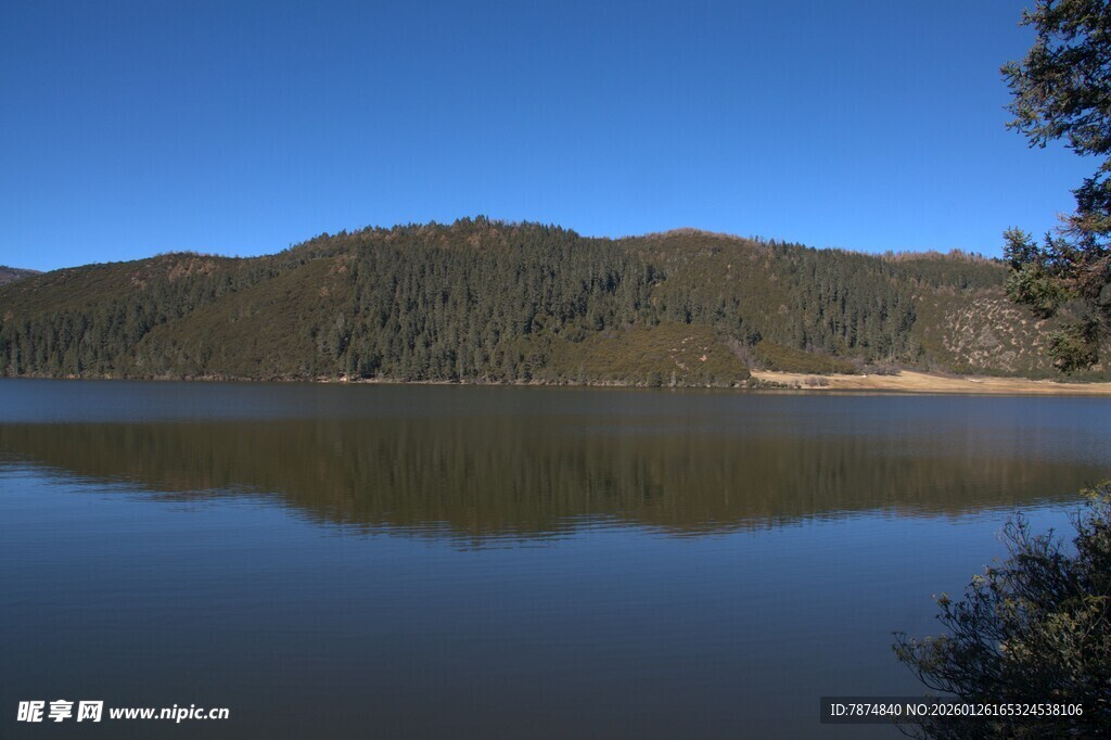 普达措森林公园