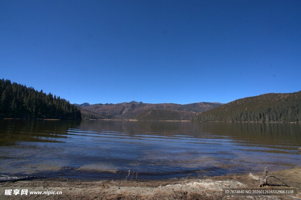 普达措森林公园